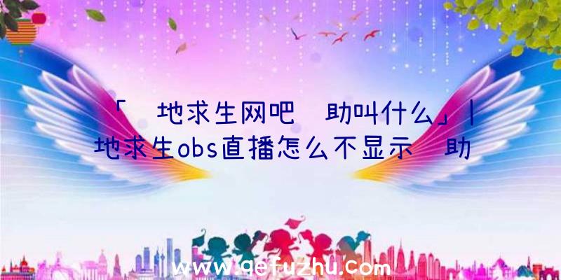 「绝地求生网吧辅助叫什么」|绝地求生obs直播怎么不显示辅助